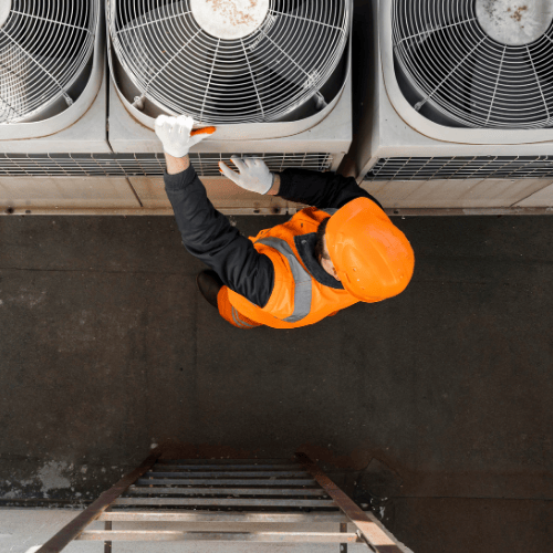 Untitled design (58)