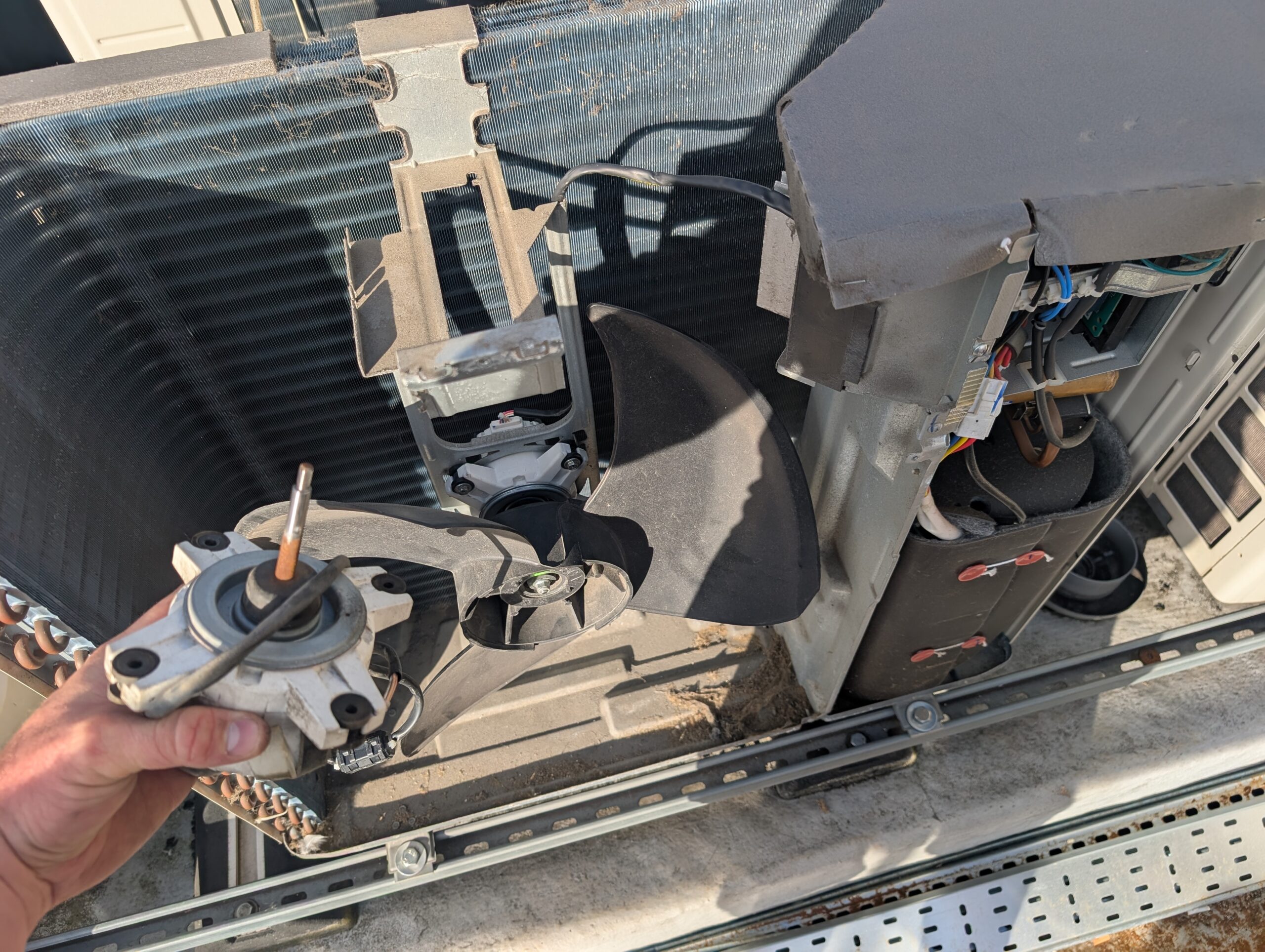 PXL_20250826_072258000